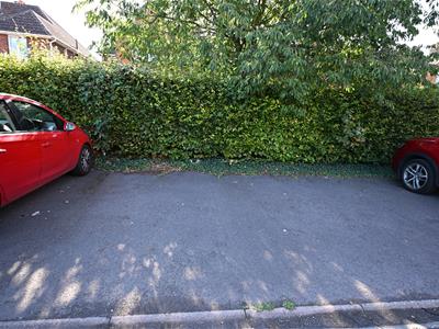 Picture 11